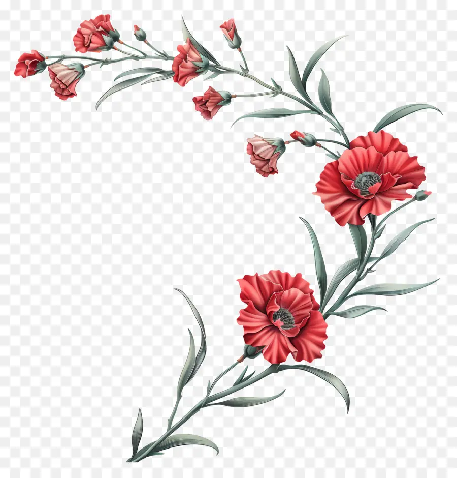 Oeillets，Couronne De Fleurs Rouges PNG