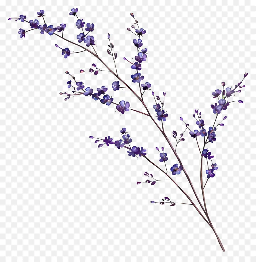 Petites Fleurs Violettes，Fleurs Pourpres PNG