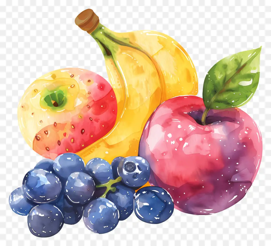 Fruits，Frais PNG
