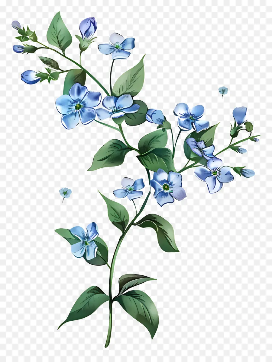 Oublie Moi Pas，Fleurs Bleues PNG