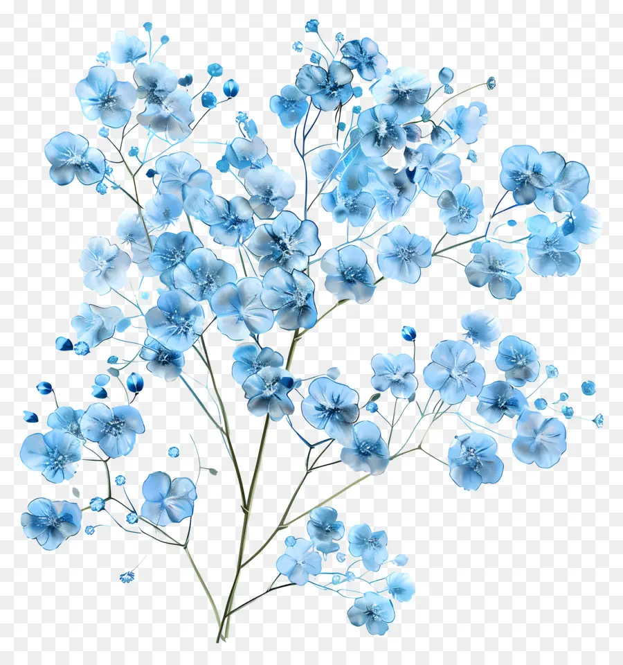 Babys Breath Flower，Les Petites Fleurs Bleues PNG