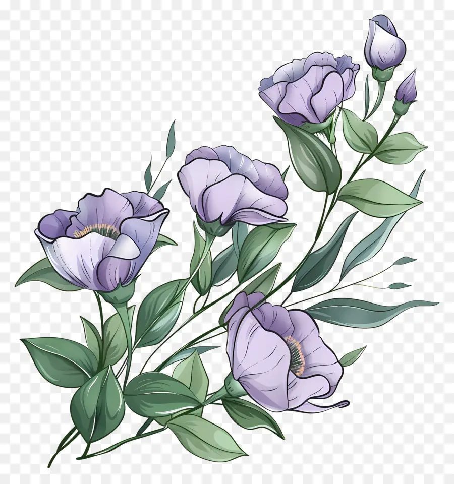 Fleurs Eustoma，Fleurs Pourpres PNG