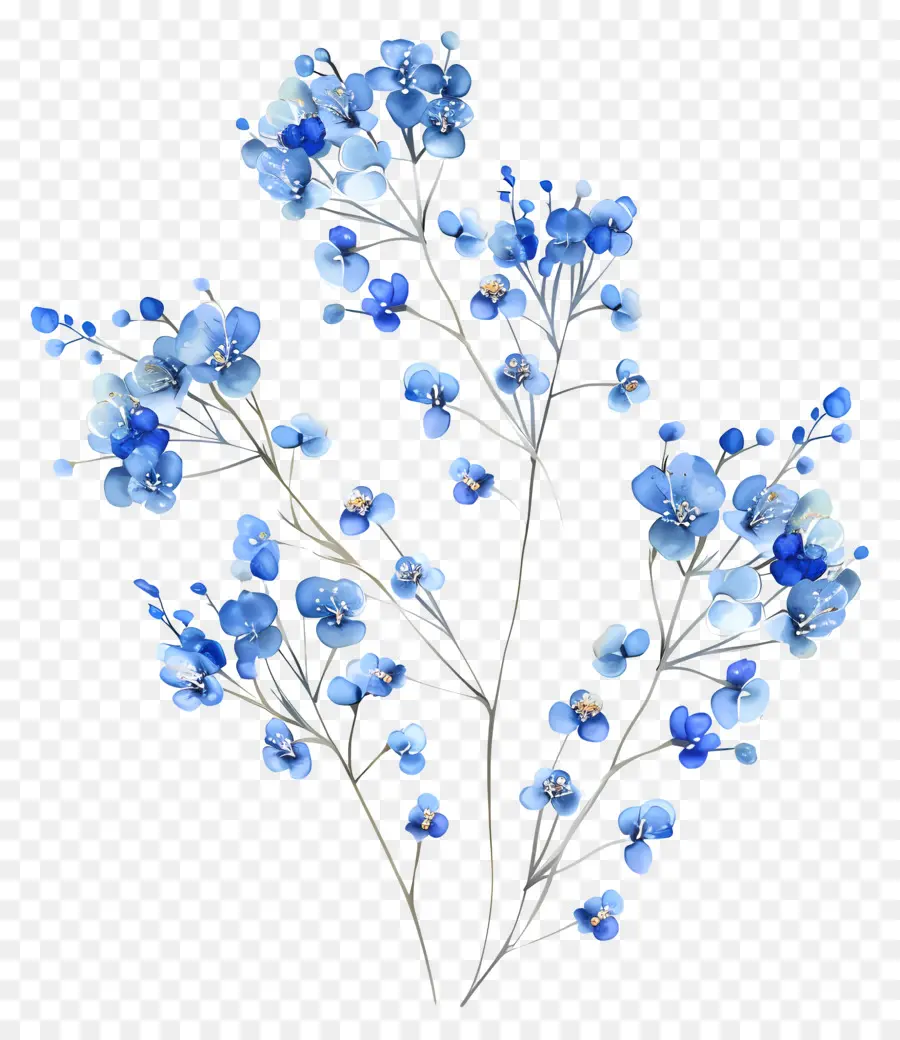 Babys Breath Flower，Fleurs Bleues PNG
