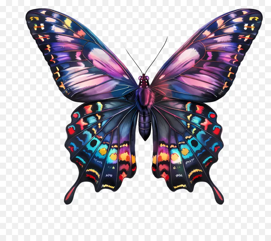 Papillon，Multicolore PNG