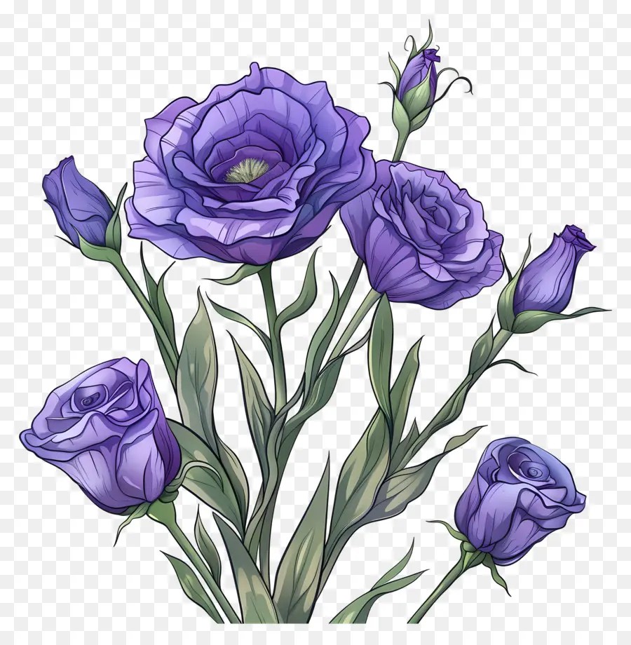 Fleurs Eustoma，Pourpre Des Roses PNG