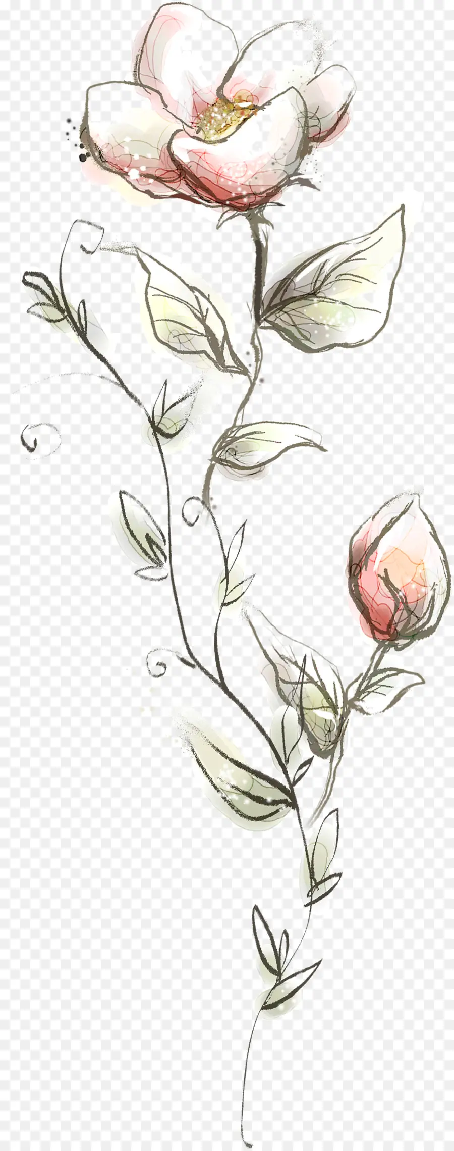 Fleur De Pétunia，Fleur Rose PNG