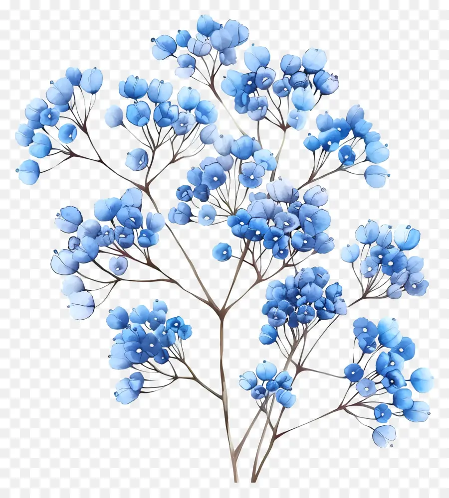 Babys Breath Flower，Fleurs Bleu Foncé PNG