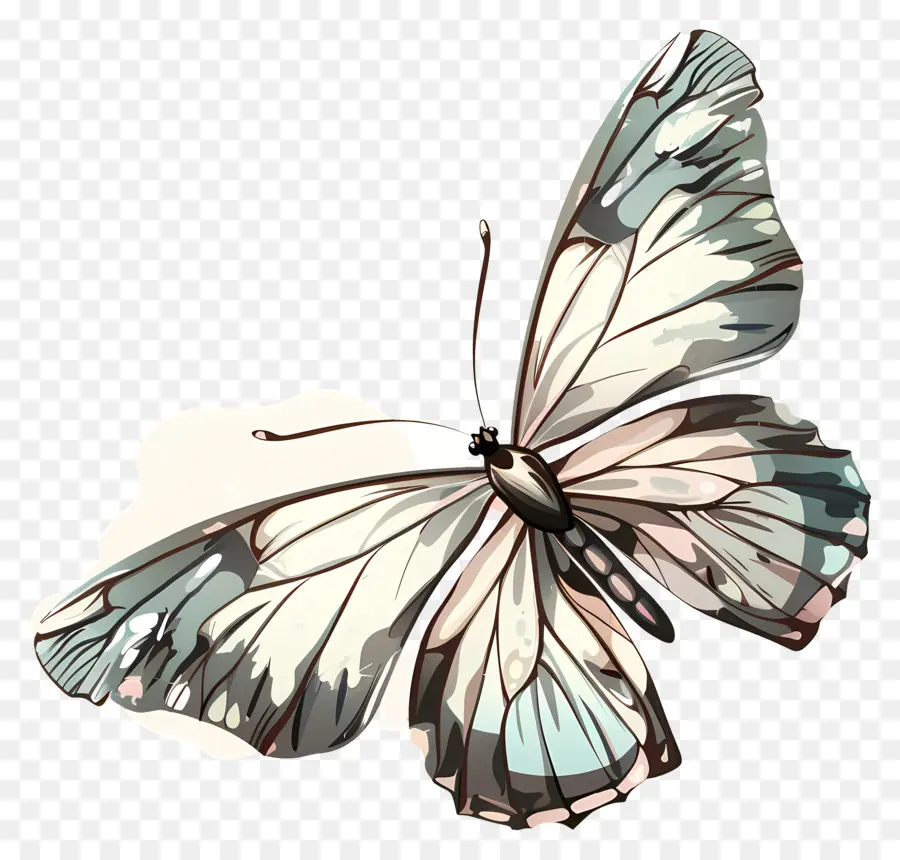 Papillon，Ailes PNG