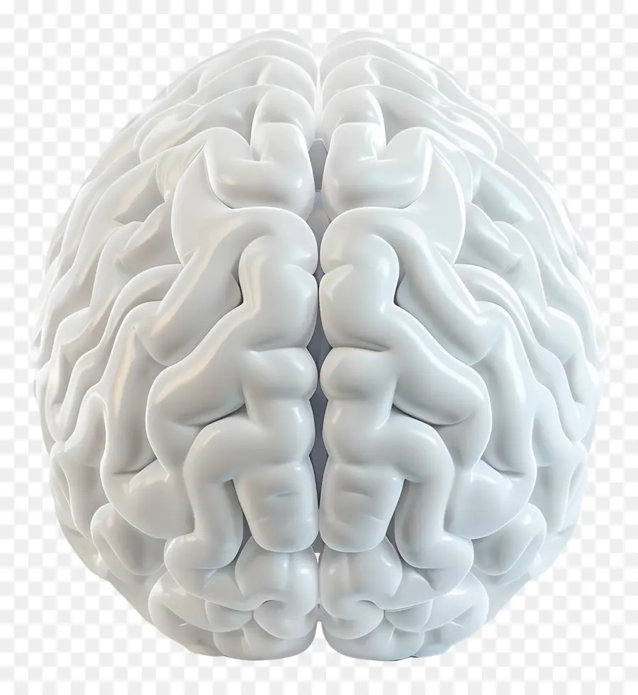 Cerveau Artificiel，Le Cerveau Humain PNG