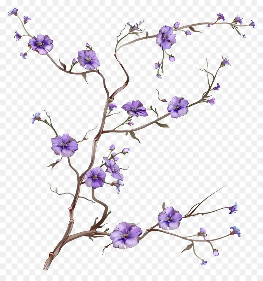 Petites Fleurs Violettes，Branche D'arbre PNG