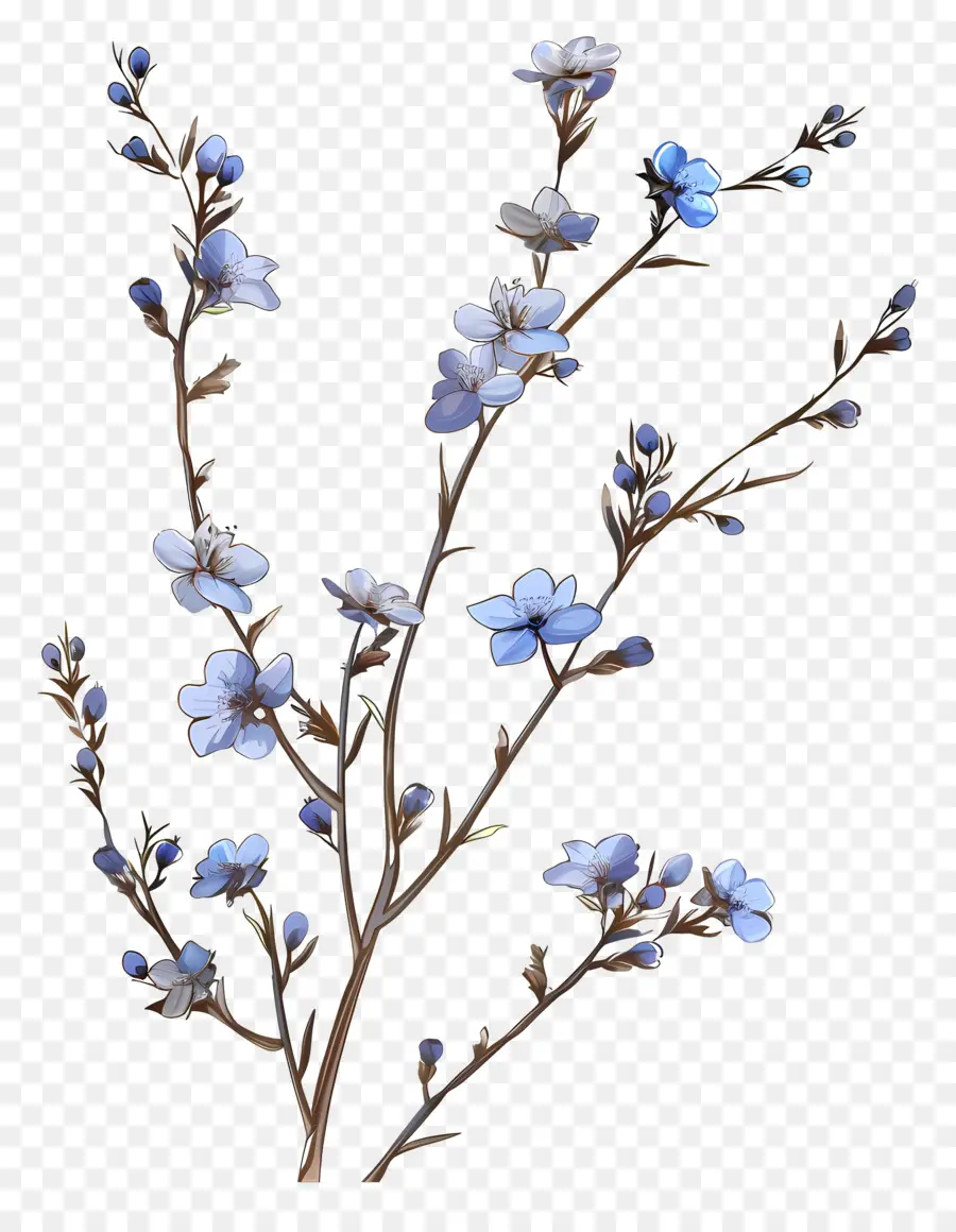 Petites Fleurs Bleues，Fleurs Bleues PNG