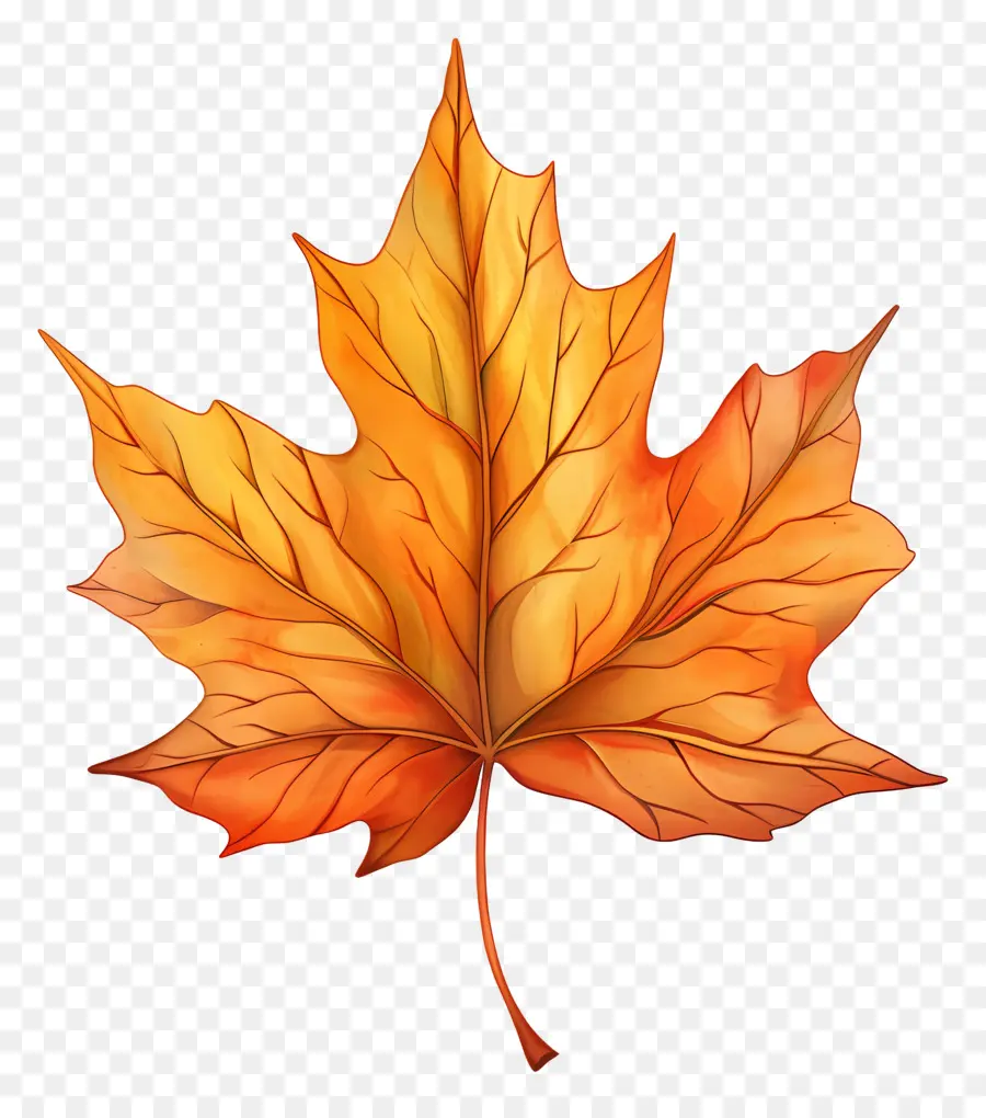 Clipart Fall Leaf，La Feuille D'érable PNG