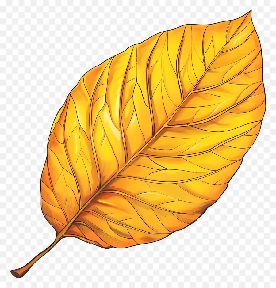 Feuille Jaune Clipart，Feuille Jaune PNG