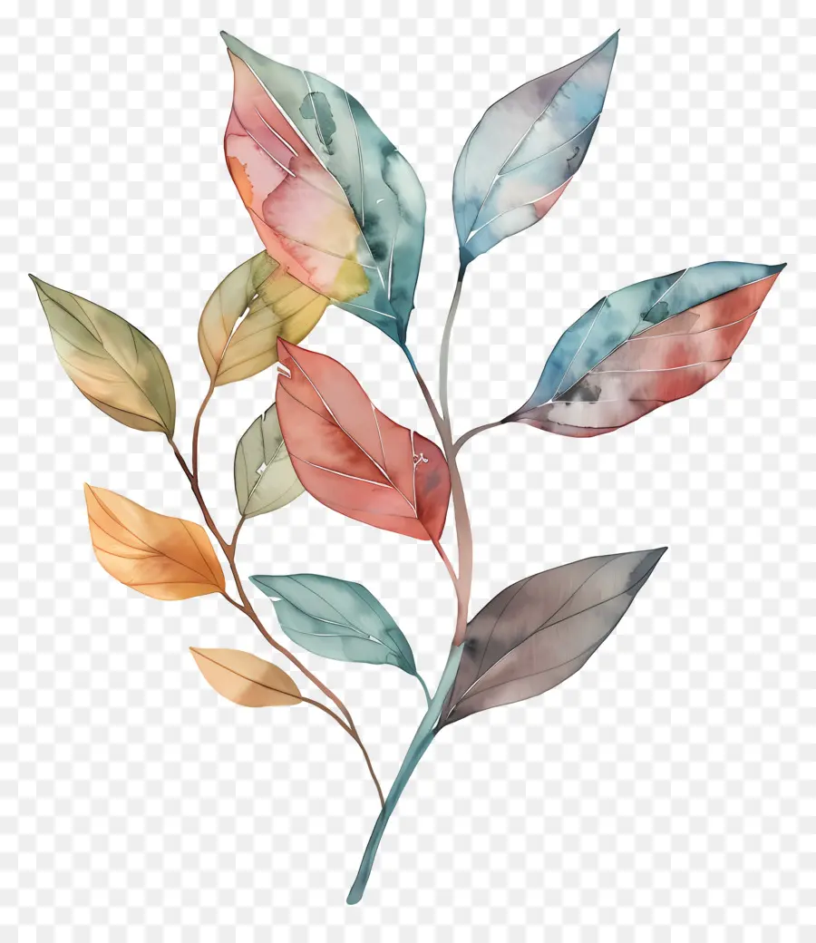 Aquarelle Feuilles，Peinture à L'aquarelle PNG