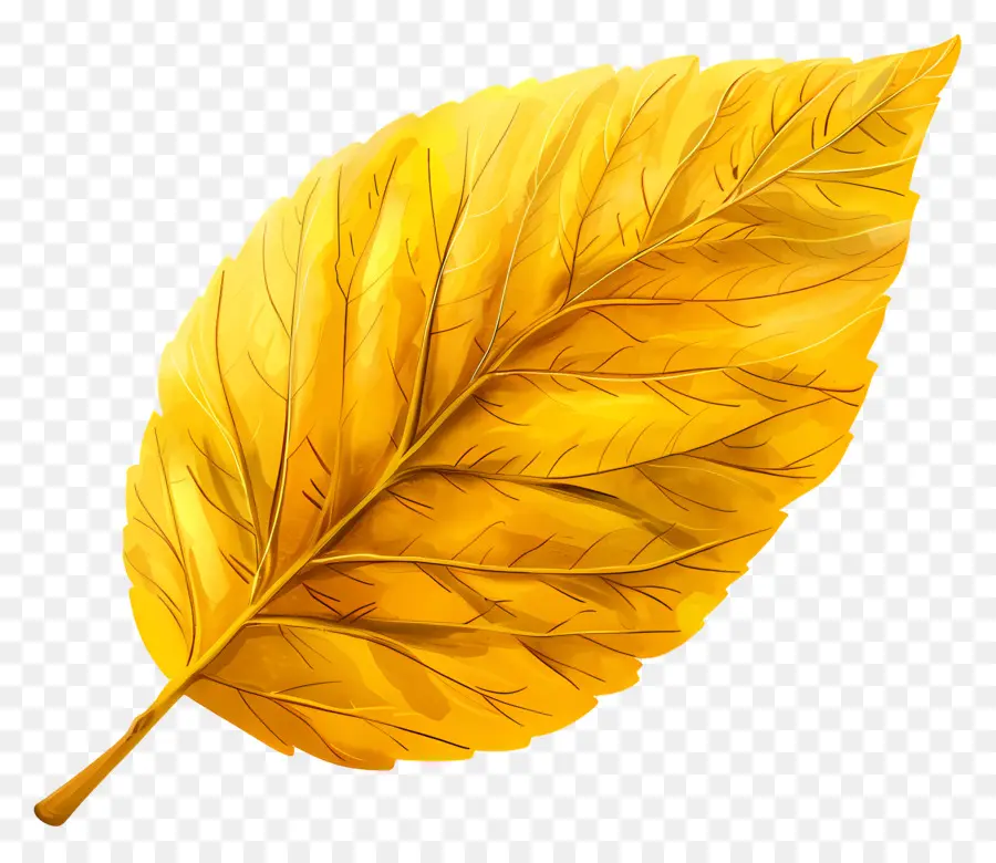 Clipart De La Feuille Jaune，Le Golden Leaf PNG