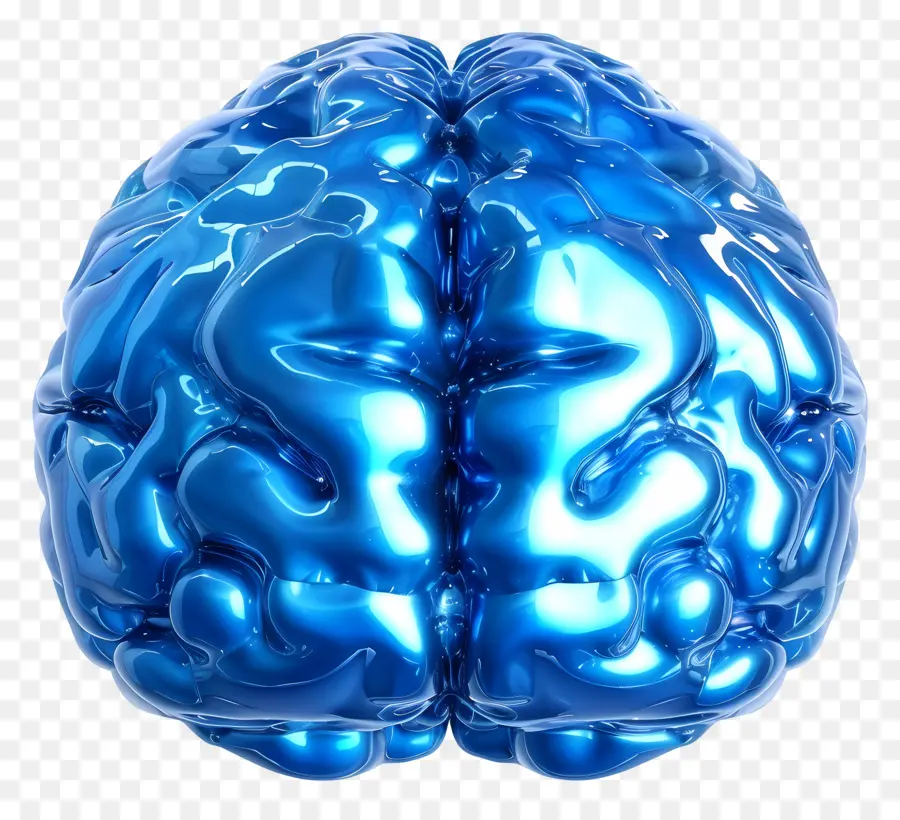 Cerveau Bleu，Cerveau En Plastique PNG