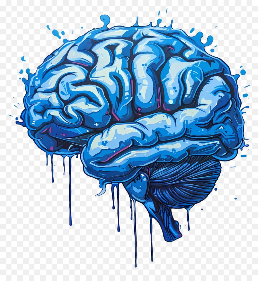 Cerveau Bleu，Le Cerveau Humain PNG