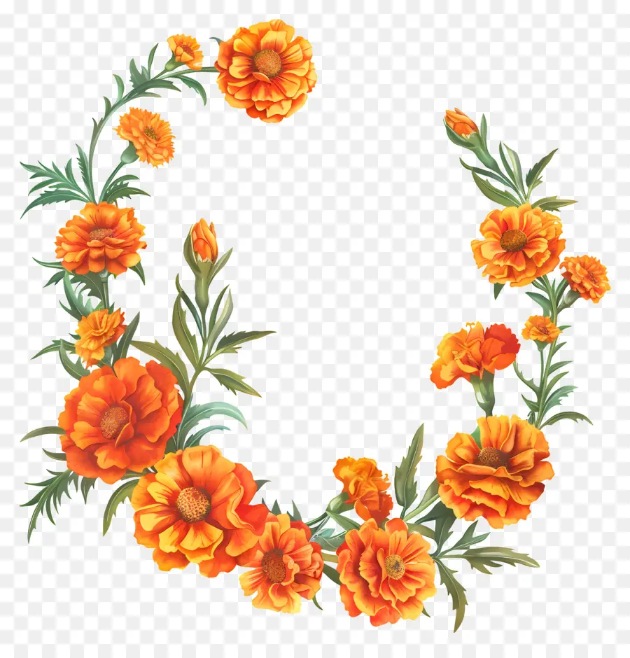 Fleur De Soucis Toran，Couronne De Souci D'orange PNG