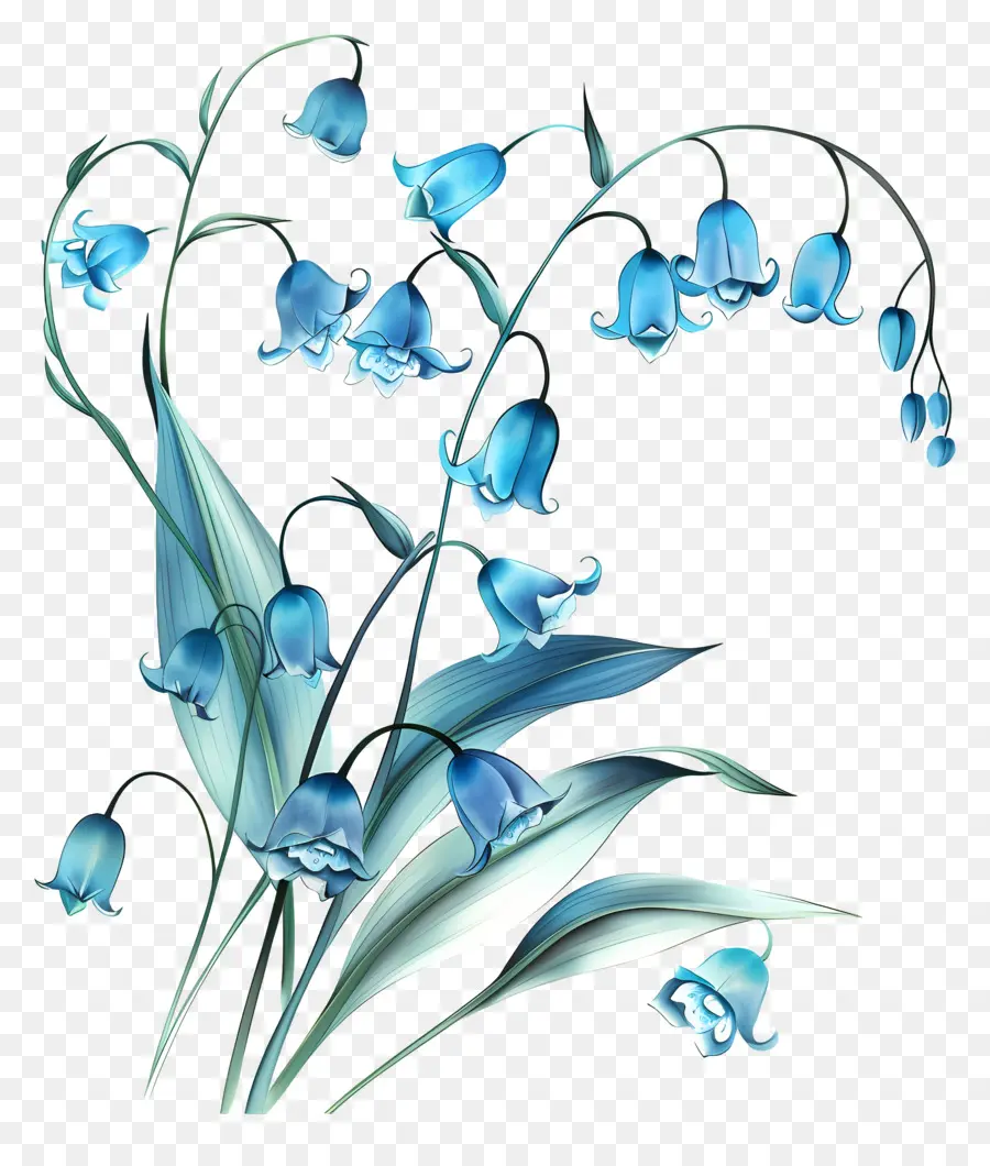 Lis Bleu De La Vallée，Fleur PNG