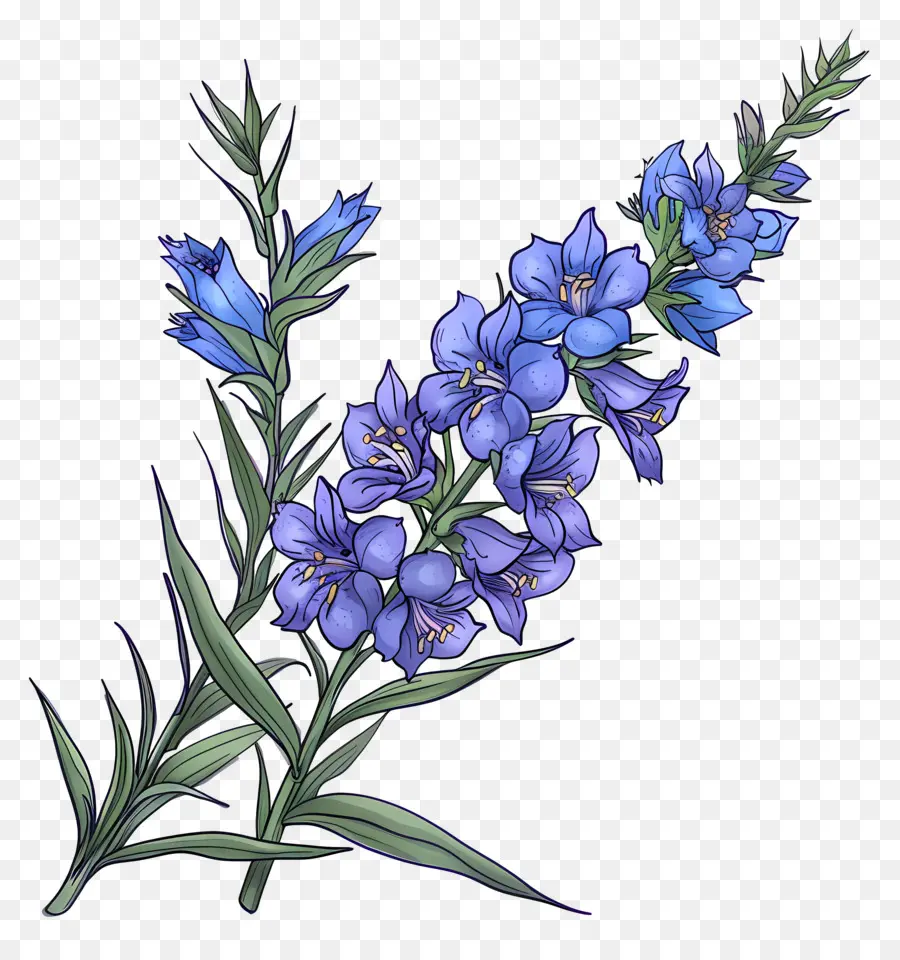Fleur De Lot，Fleur Bleue PNG
