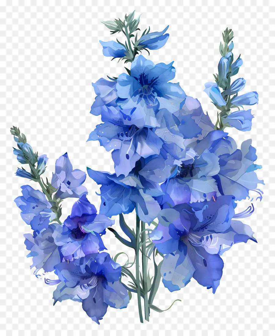 Fleur De Latérus，Bleu Hortensia PNG