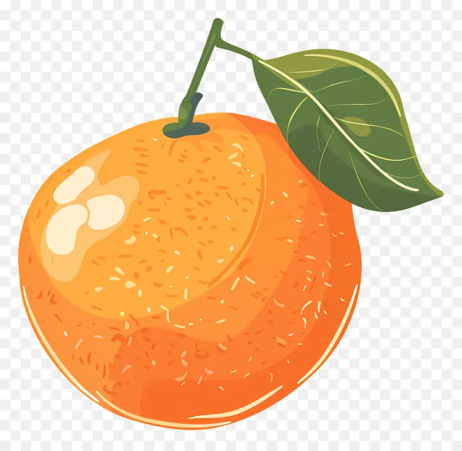 Fruits Orange，Sain PNG