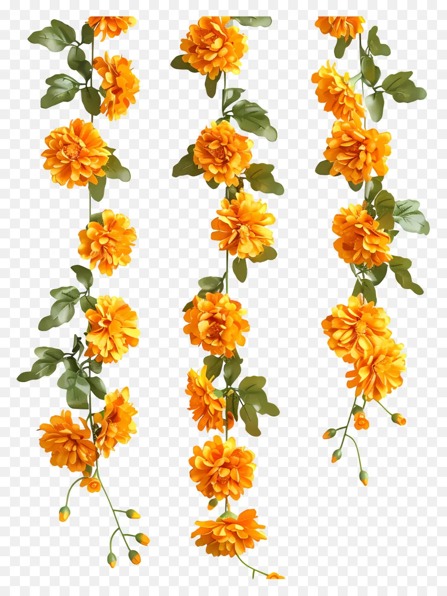 Guirlande De Soucis，Fleurs Jaunes PNG