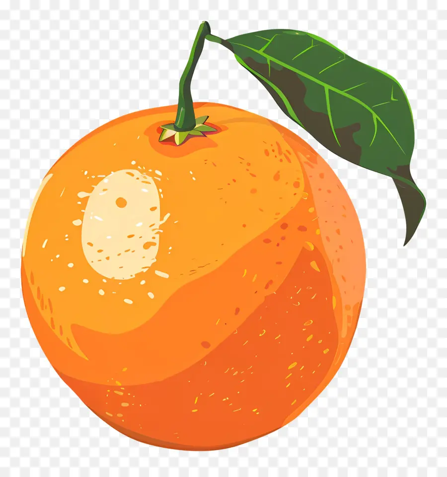 Fruits Orange，D'orange Frais PNG