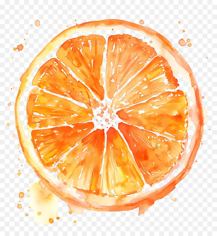 Coloration à L'aquarelle Orange，Peinture à L'aquarelle PNG