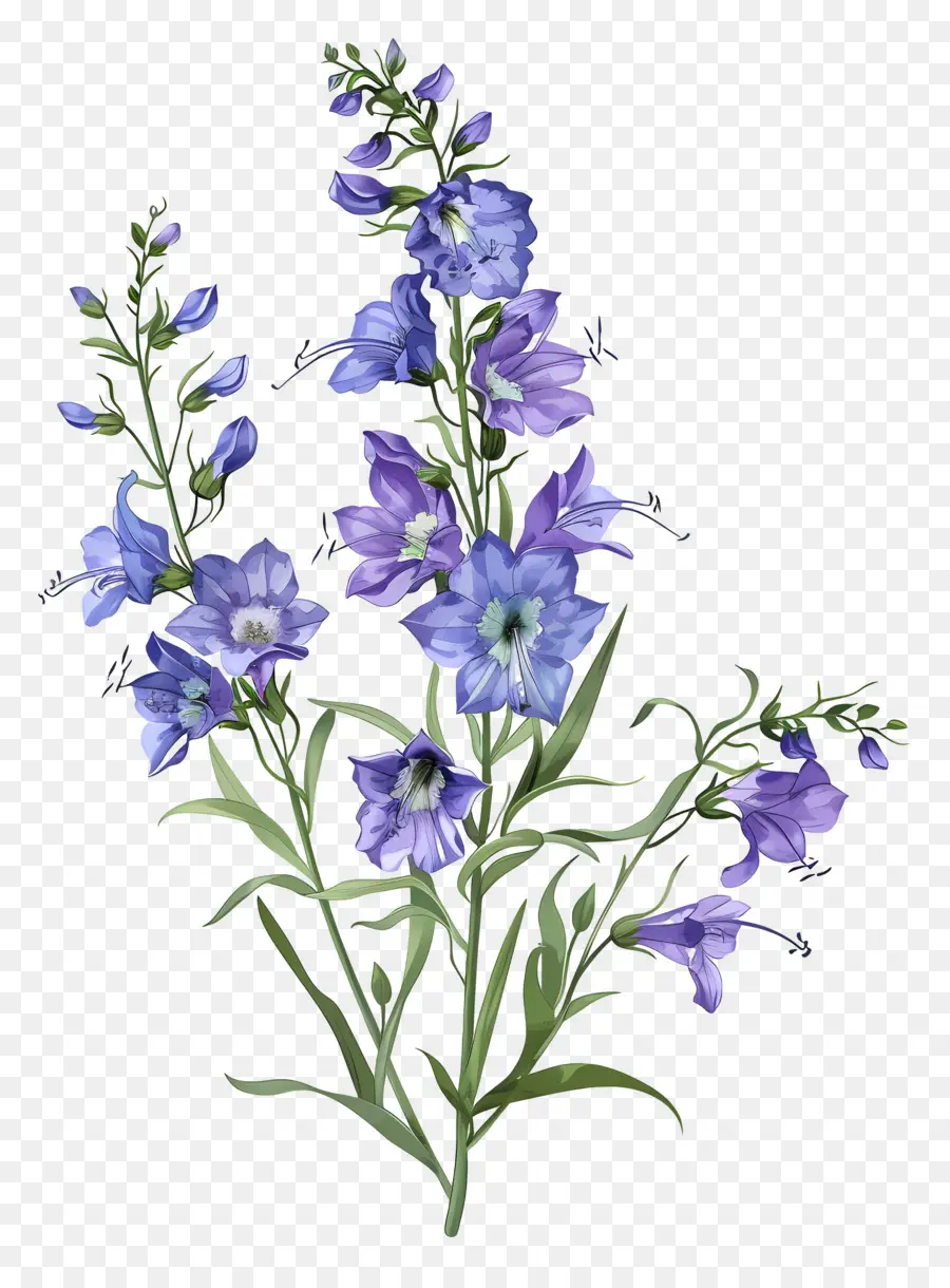 Fleur De Lot，Fleurs Bleu Violet PNG