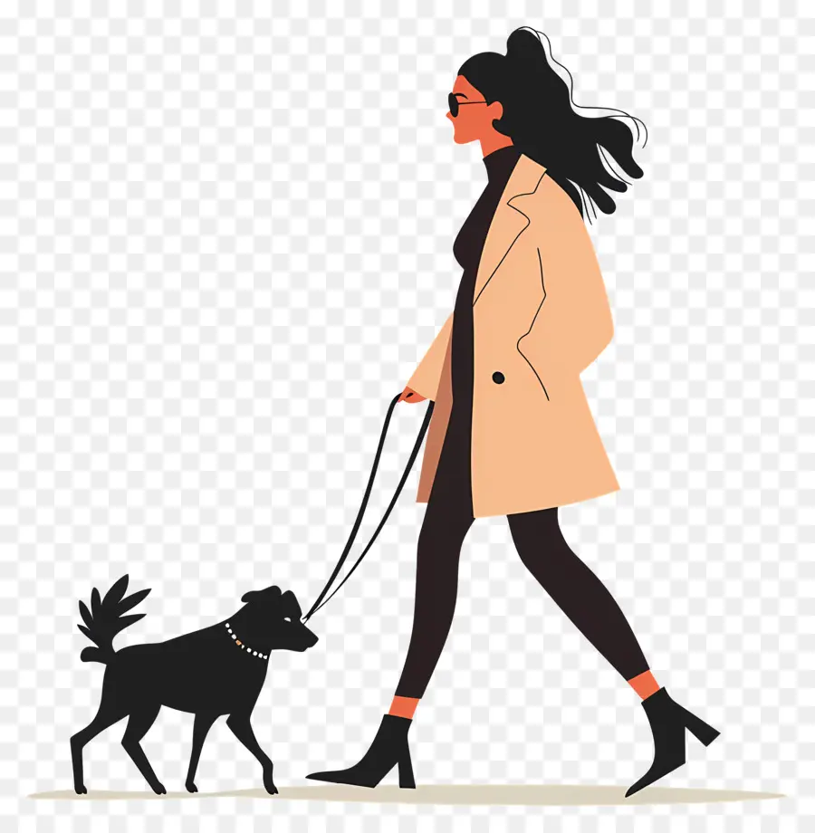Femme Dog Walking，Chien En Laisse PNG