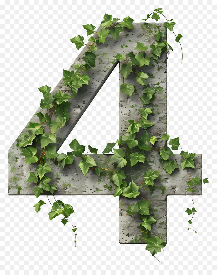 Numéro 4，Ivy PNG