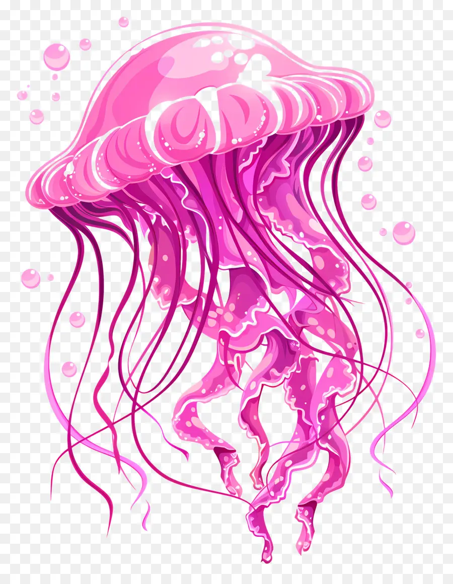 Les Méduses，Méduse Rose PNG