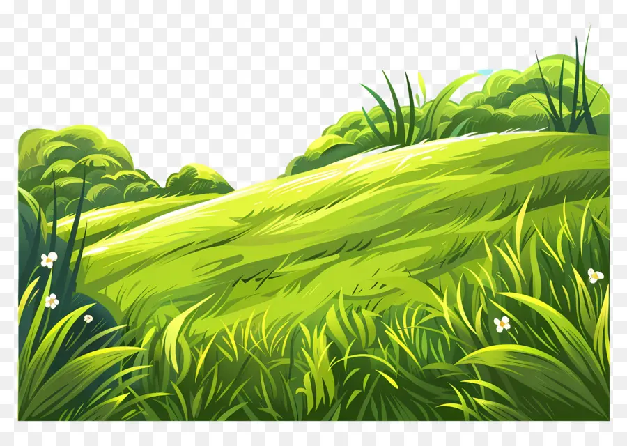 L'herbe De La Terre，Colline Verte PNG
