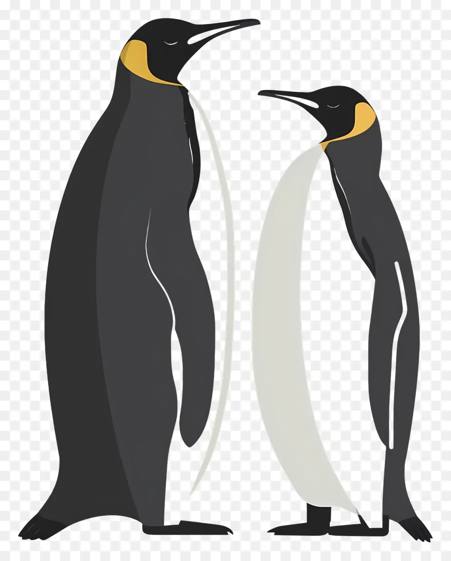 Les Pingouins，Veste Noire PNG