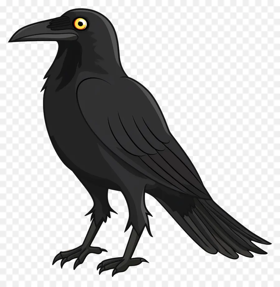 Crow，Oiseau PNG