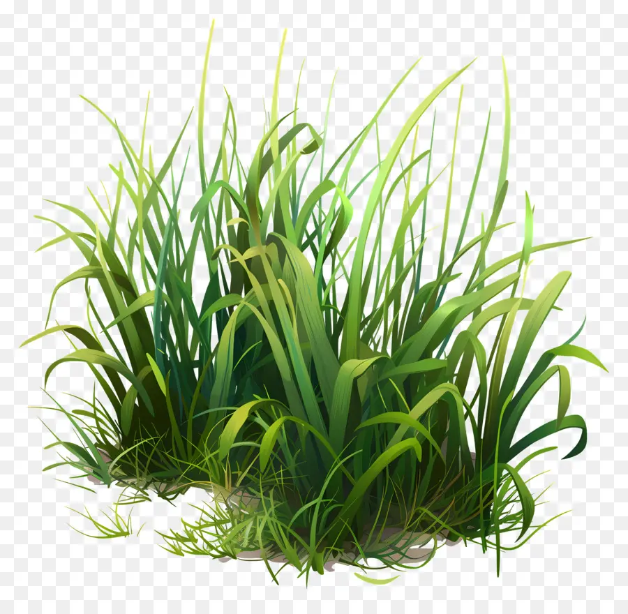 L'herbe De La Terre，Le Vert De L'herbe PNG