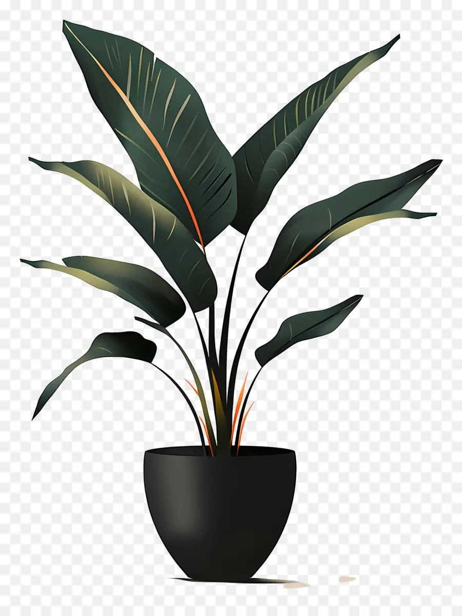 Plante En Pot，Noir Vase PNG