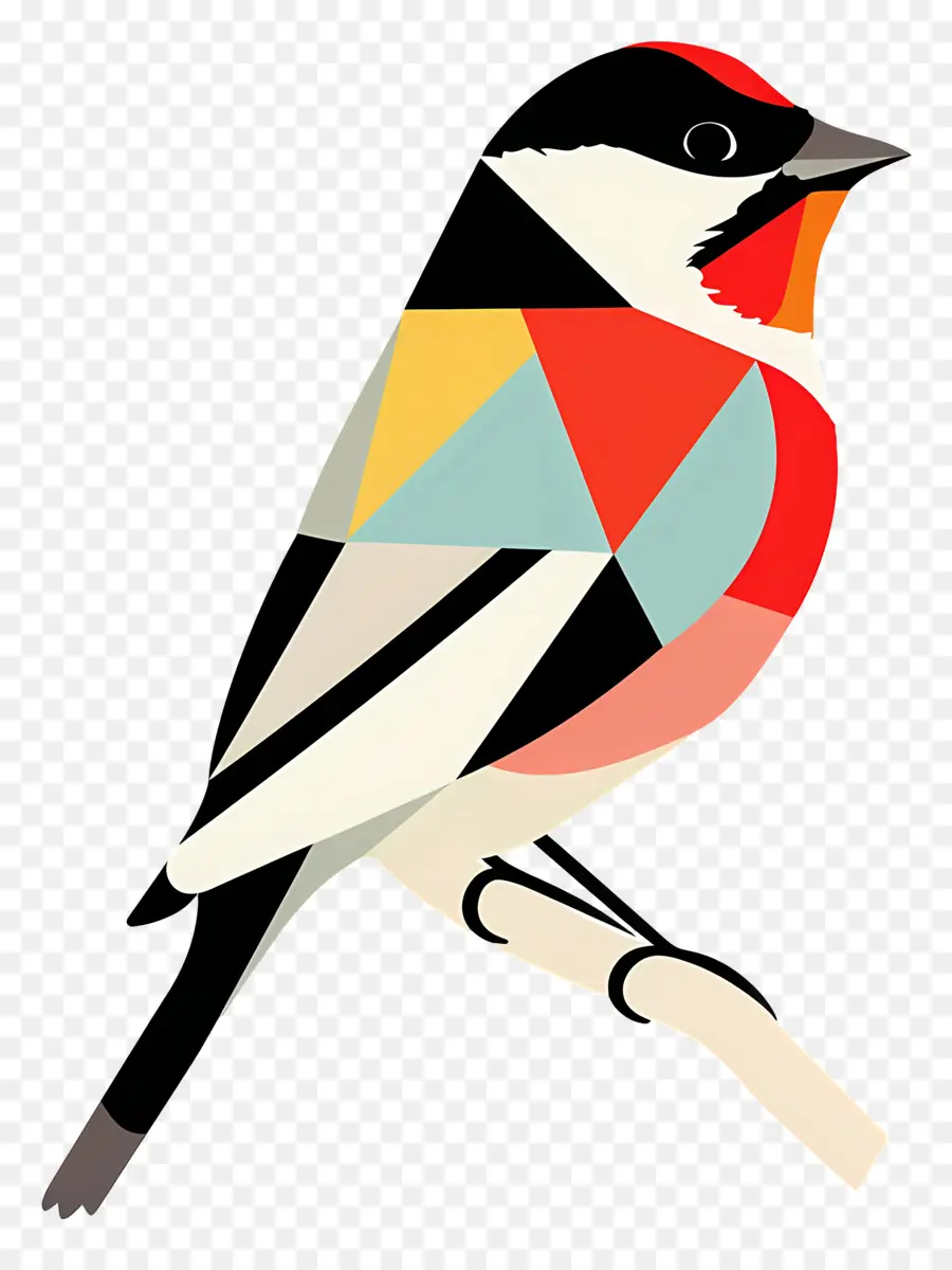 Oiseau，Branche PNG