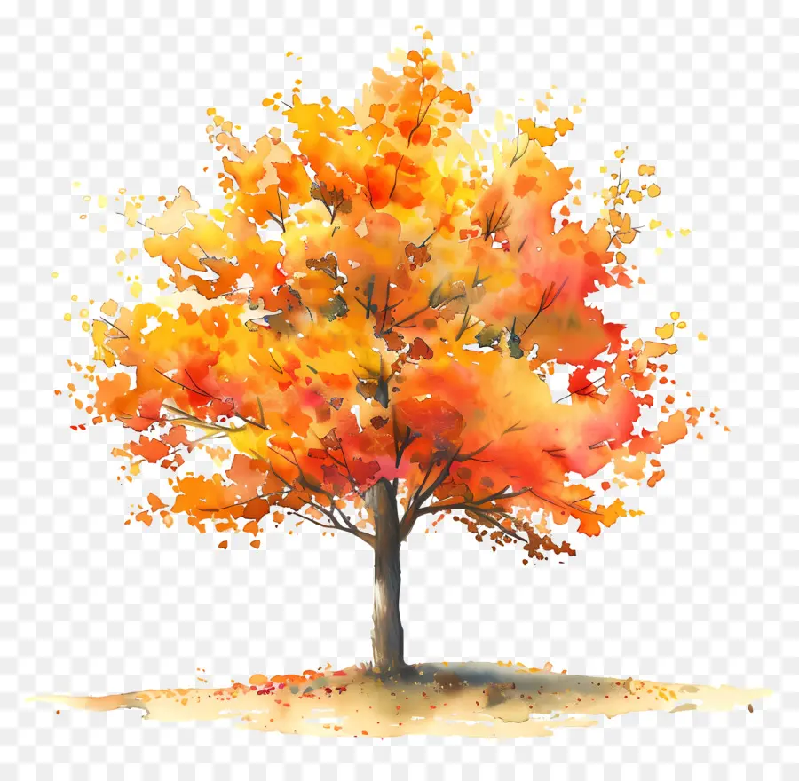 Plan D'arbre à Aquarelle，L'automne PNG