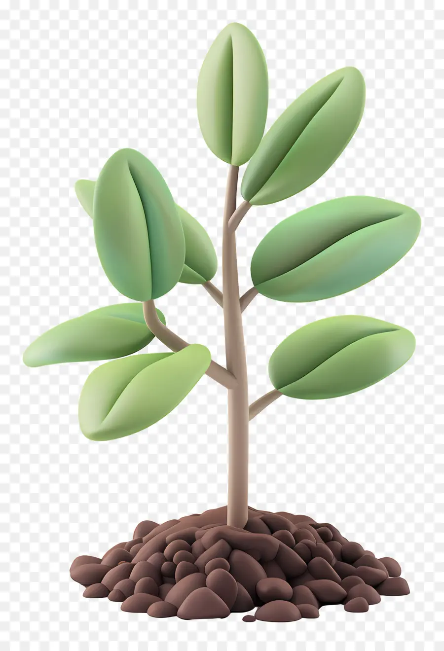 Usine Sol，Plante PNG