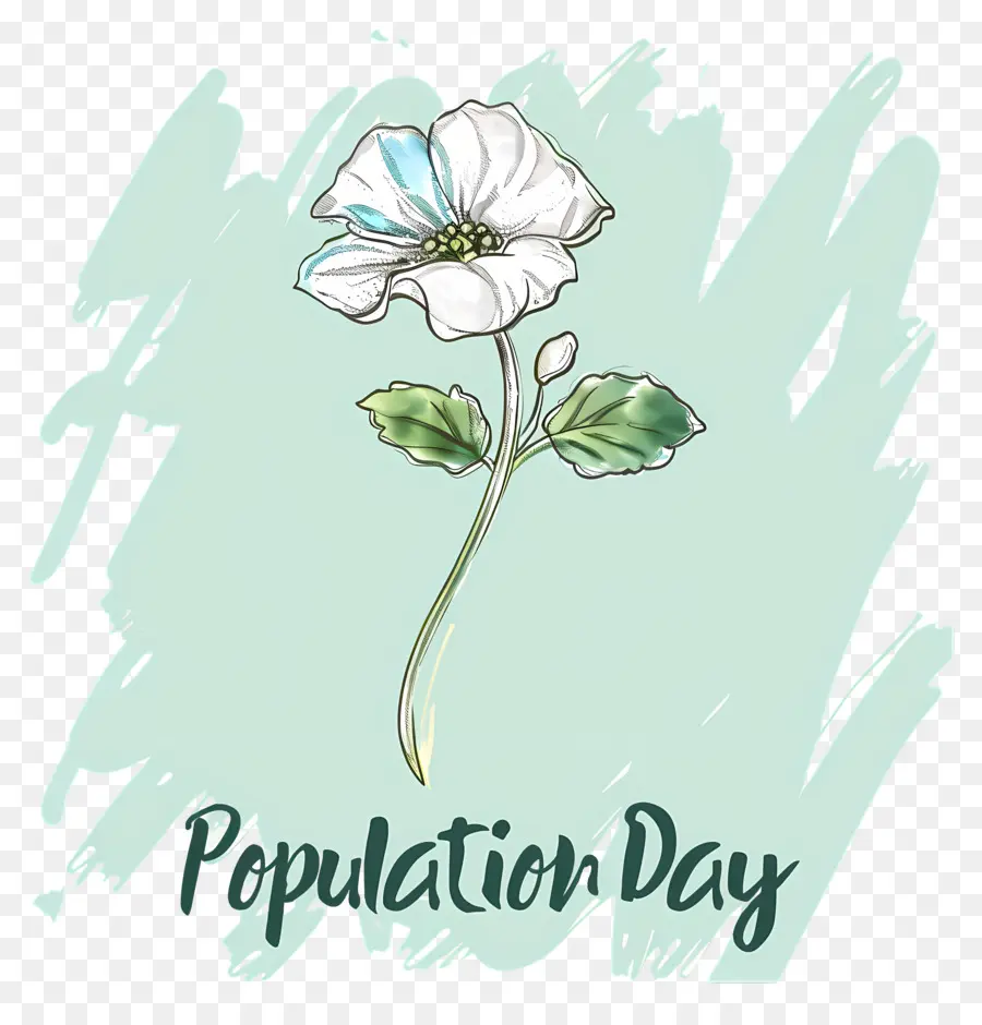 Journée Mondiale De La Population，Citrouille Jour PNG