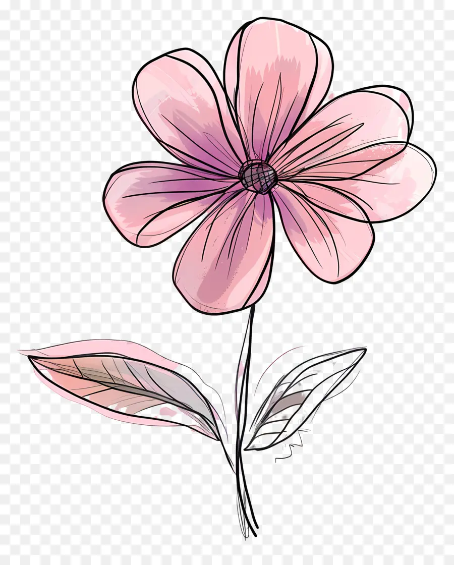 Doodle Fleur，Fleur Rose PNG