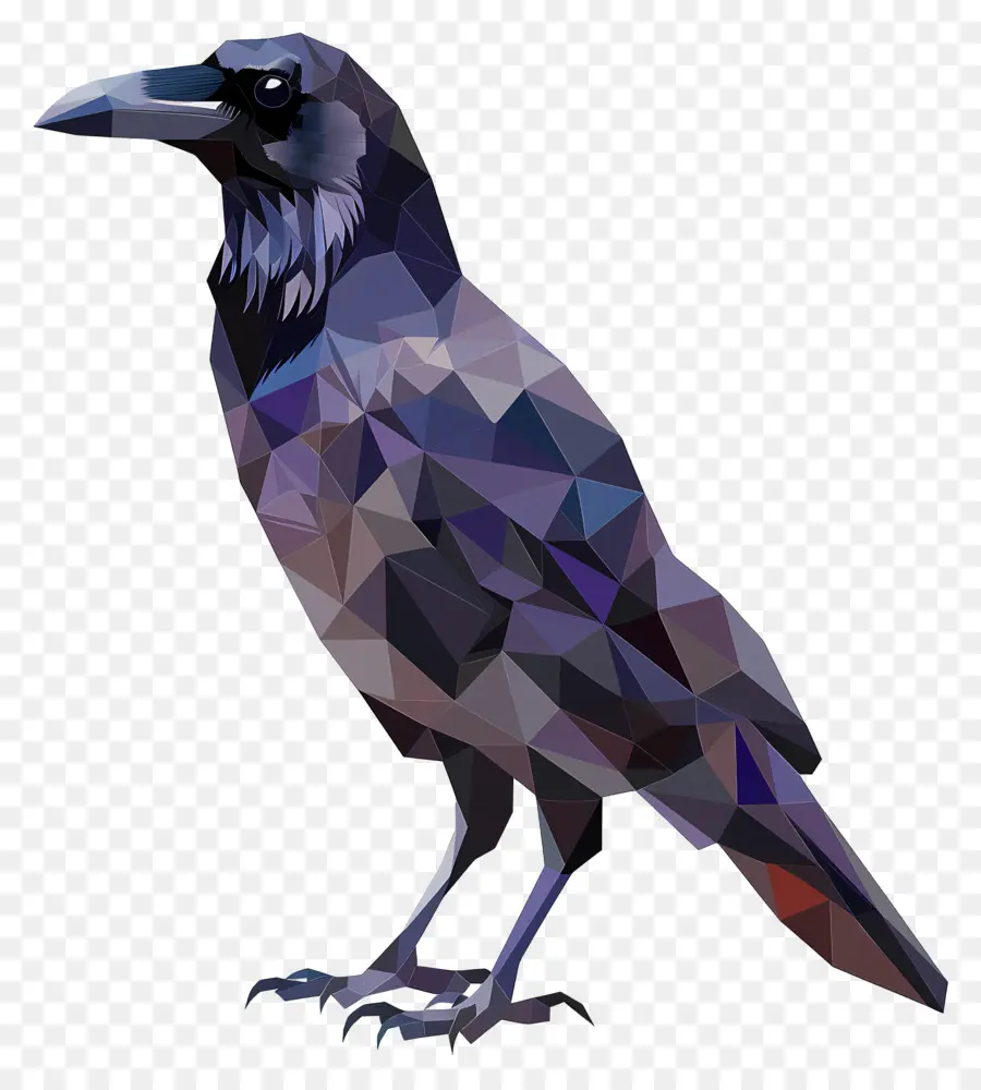 Crow，Oiseau PNG