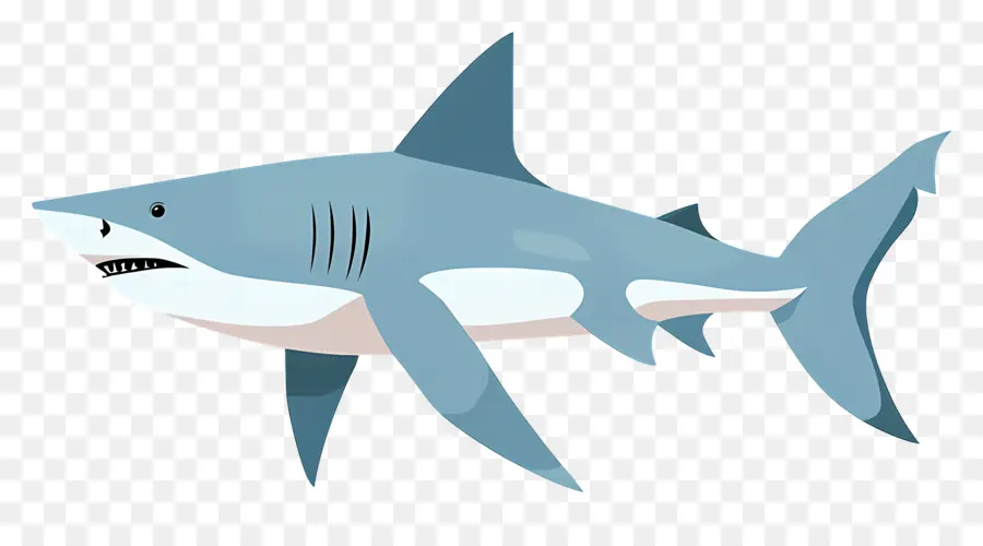Requin，Prédateur PNG