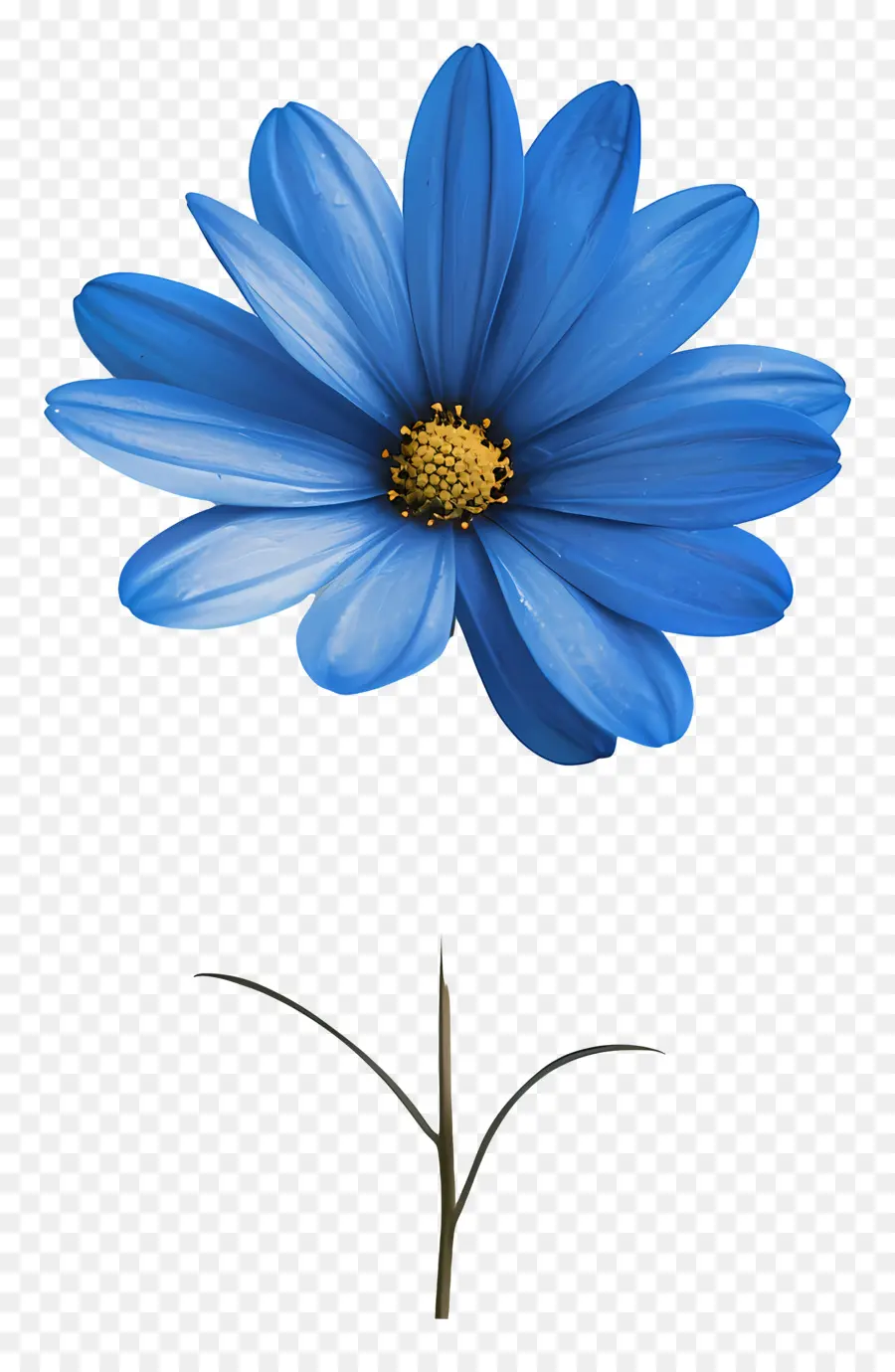 Fleur Bleue，Daisy PNG