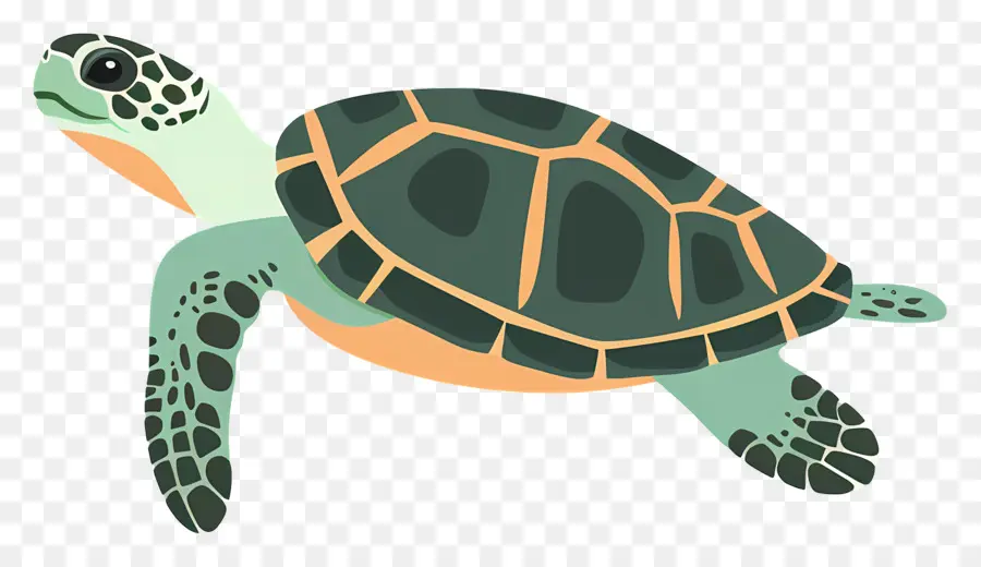 Tortue，L'océan PNG