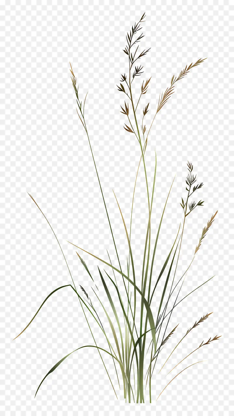 Herbe à Fleurs，Herbe Verte PNG