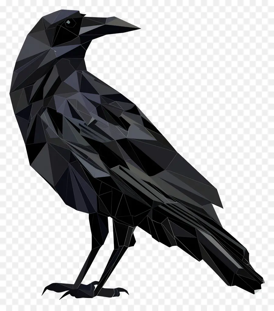 Crow，Plumes Noires PNG