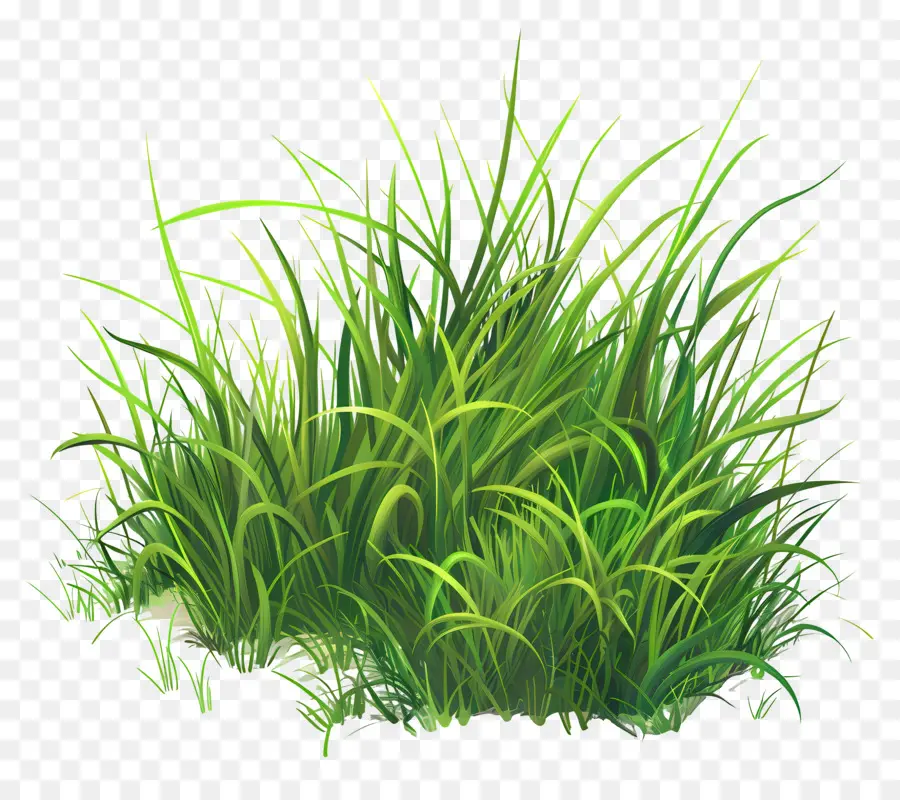 L'herbe De La Terre，L'herbe PNG
